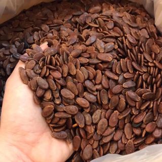 Hạt dưa Tứ Hưng