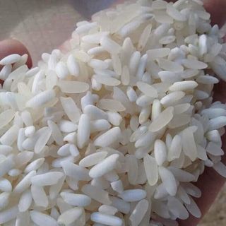 Gạo nếp nương