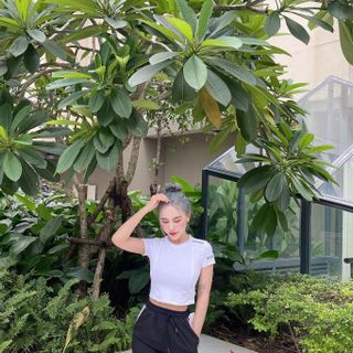 Áo Croptop Logo Đồ Thể Thao Siêu Đẹp Giá Sỉ, Hàng Đẹp