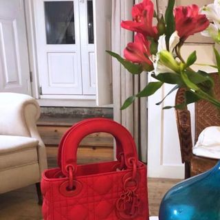 Tưi Xách DR siêu xinh xuống phố