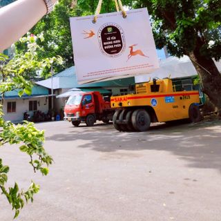 Tổ Yến Nhung Hươu Anbinest