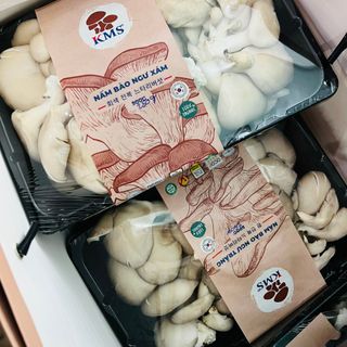 Tìm nhà phân phối nấm việt sản xuất theo công nghệ hàn quốc