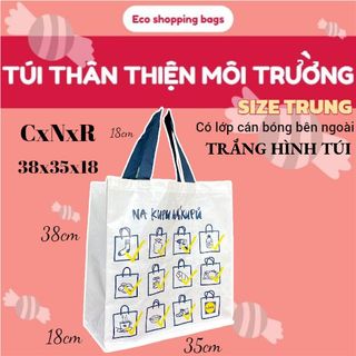 Túi thân thiện môi trường, túi siêu thị, giỏ đi chợ, giỏ sử dụng nhiều lần, túi hai uai xách, túi 4 uai xách, túi pp, túi tái chế