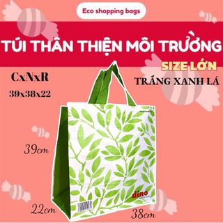Túi thân thiện môi trường, túi siêu thị, giỏ đi chợ, giỏ sử dụng nhiều lần, túi hai uai xách, túi 4 uai xách, túi pp, túi tái chế