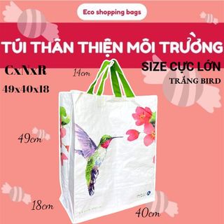 Túi thân thiện môi trường, túi siêu thị, giỏ đi chợ, giỏ sử dụng nhiều lần, túi hai uai xách, túi 4 uai xách, túi pp, túi tái chế giá sỉ