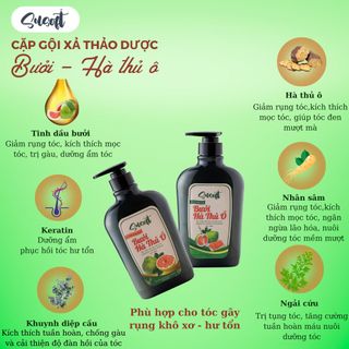 Dầu Gội Thảo Dược Susoft (Bưởi – Hà Thủ Ô)