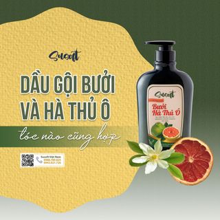 Dầu Gội Thảo Dược Susoft (Bưởi – Hà Thủ Ô)