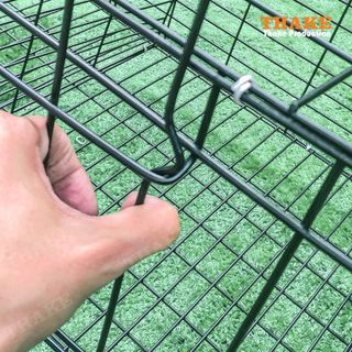Chuồng Gà Đẻ THAKE, Lồng Gà Đẻ Công Nghiệp