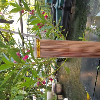 NHANG TRẦM ĐÀN HƯƠNG SỈ TỪ 1 KG