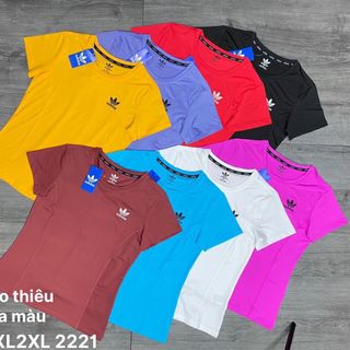 Áo nữ Áo Thun Nữ Thể Thao Siêu Đẹp Giá Sỉ, Hàng Chuẩn