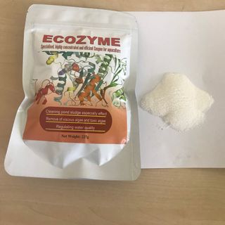 Enzyme cắt tảo, xử lý đáy ecozyme