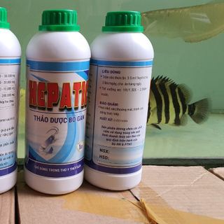 Thảo dược bổ gan hepatic