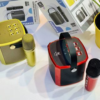Loa Karaoke Bluetooth YS-102 Giá Sỉ