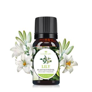 Tinh dầu nước hoa dung tích 10ml, khử mùi cho xe ô tô