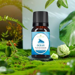 Tinh dầu nước hoa dung tích 10ml, khử mùi cho xe ô tô