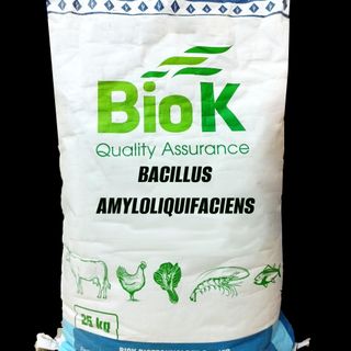 Bacillus amyloliquifaciens: Tăng tỷ lệ sống sót cho tôm,ức chế vi khuẩn có hại giá sỉ