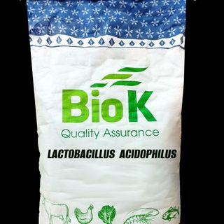 Lactobacillus acidophilus: Hỗ trợ hệ tiêu hóa vật nuôi, xử lý nước hiệu quả giá sỉ