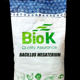 Bacillus Megaterium: Bổ sung vi khuẩn có lợi cho vật nuôi, xử lý đáy ao nuôi thủy sản giá sỉ