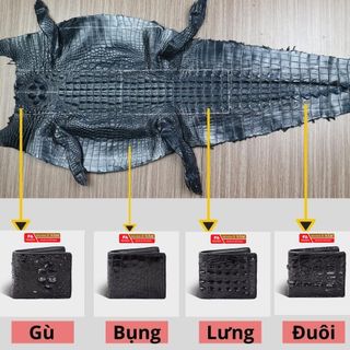 [Mã BMLT35 giảm đến 35K đơn 99K] Ví da cá sấu FADODA SP-FCW03G phần gù cá sấu