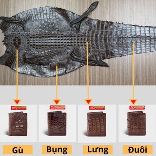 [Mã BMLT35 giảm đến 35K đơn 99K] Ví nam da cá sấu thật FADODA SP-FCW01G làm từ vân lưng gù của cá sấu