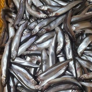 Cá trứng nguyên liệu thùng 20kg Nauy