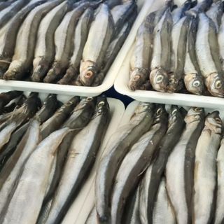 Cá trứng nguyên liệu thùng 20kg Nauy