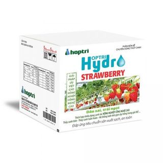 Dinh dưỡng thủy canh trồng dâu tây Hợp Trí Hydro Strawberry (10kg) giá sỉ