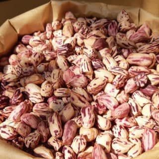 Lạc Vằn Hoa Mèo