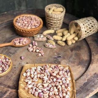 Lạc Vằn Hoa Mèo