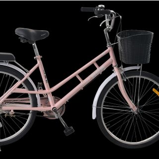 Xe đạp đường phố Swat SW-24