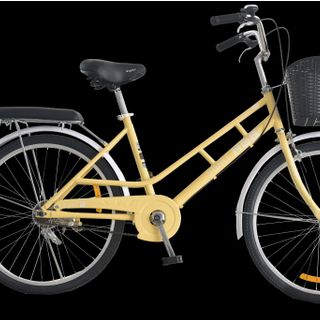 Xe đạp đường phố Swat SW-24