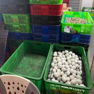 Trứng Gia Cầm Các Loại