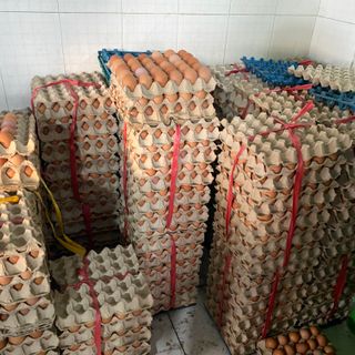 Trứng Gia Cầm Các Loại