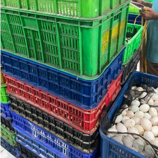 Trứng Gia Cầm Các Loại