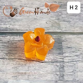 QUÀ TẶNG DOOR GIFT - XÀ PHÒNG HANDMADE HÌNH HOA -GIA CÔNG QUÀ TẶNG GREENHANDS