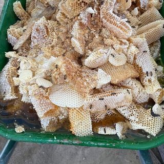 Mật ong hoa cà phê