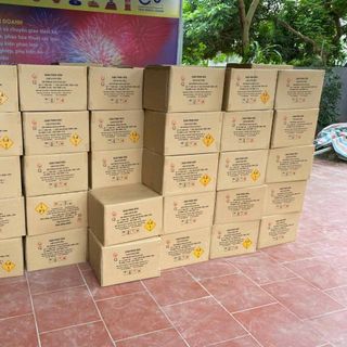 Pháo hoa dàn phun viên z121 được cấp phép