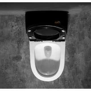 Bồn cầu 1 khối màu trắng nắp đen kiểu dáng hiện đại, phù hợp với không gian nhà tắm nhỏ