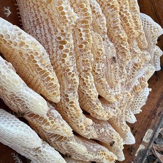 Mật ong hoa bạc hà