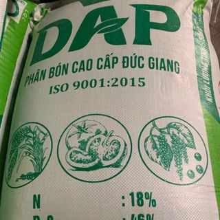 DAP Hồng Hà, DAP Đức Giang, DAP Đen lào cai