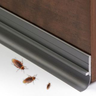 Ron chặn khe hở 90cm có 3 Màu, Thanh dán chân cửa chống côn trùng, bụi bẩn phù hợp mọi loại cửa tiện dụng - thanh chặn cửa giá sỉ