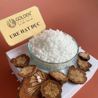 Ure đục Phú mỹ/Brunei
