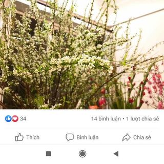 Thùng 200 gói x5ml nước dưỡng hoa lâu làn chơi Tết