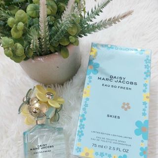 Nước Hoa daisy xanh dương