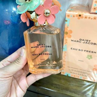 Nước hoa daisy cam