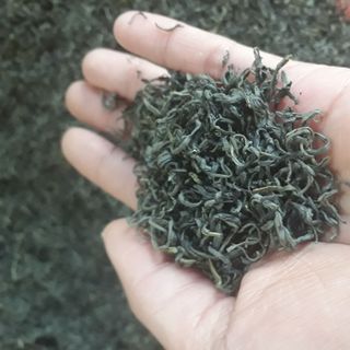 Chè búp thái nguyên