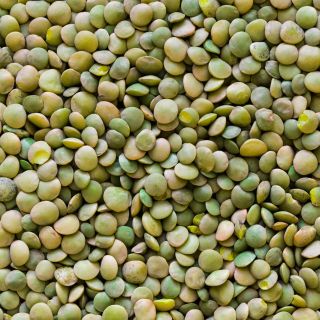 Đậu Lăng Xanh Whole Green Lentils Hữu Cơ Nhập Khẩu Nam Mỹ 500GR