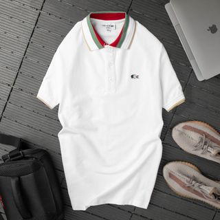 Áo Polo nam, áo thun có cổ nam, Chất 100% cá sấu cotton 4c xịn size từ 55kg - 85kg