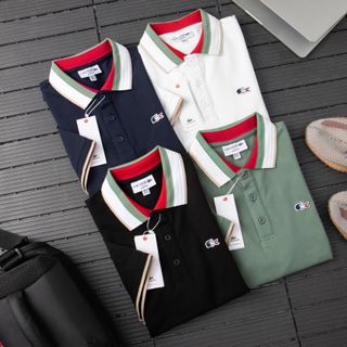 Áo Polo nam, áo thun có cổ nam, Chất 100% cá sấu cotton 4c xịn size từ 55kg - 85kg