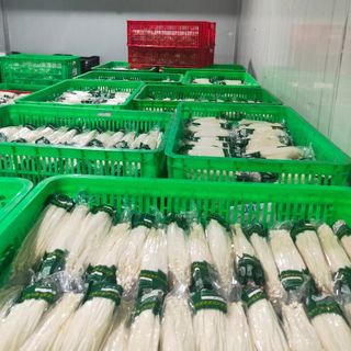 Nấm kim châm-đùi gà oganic